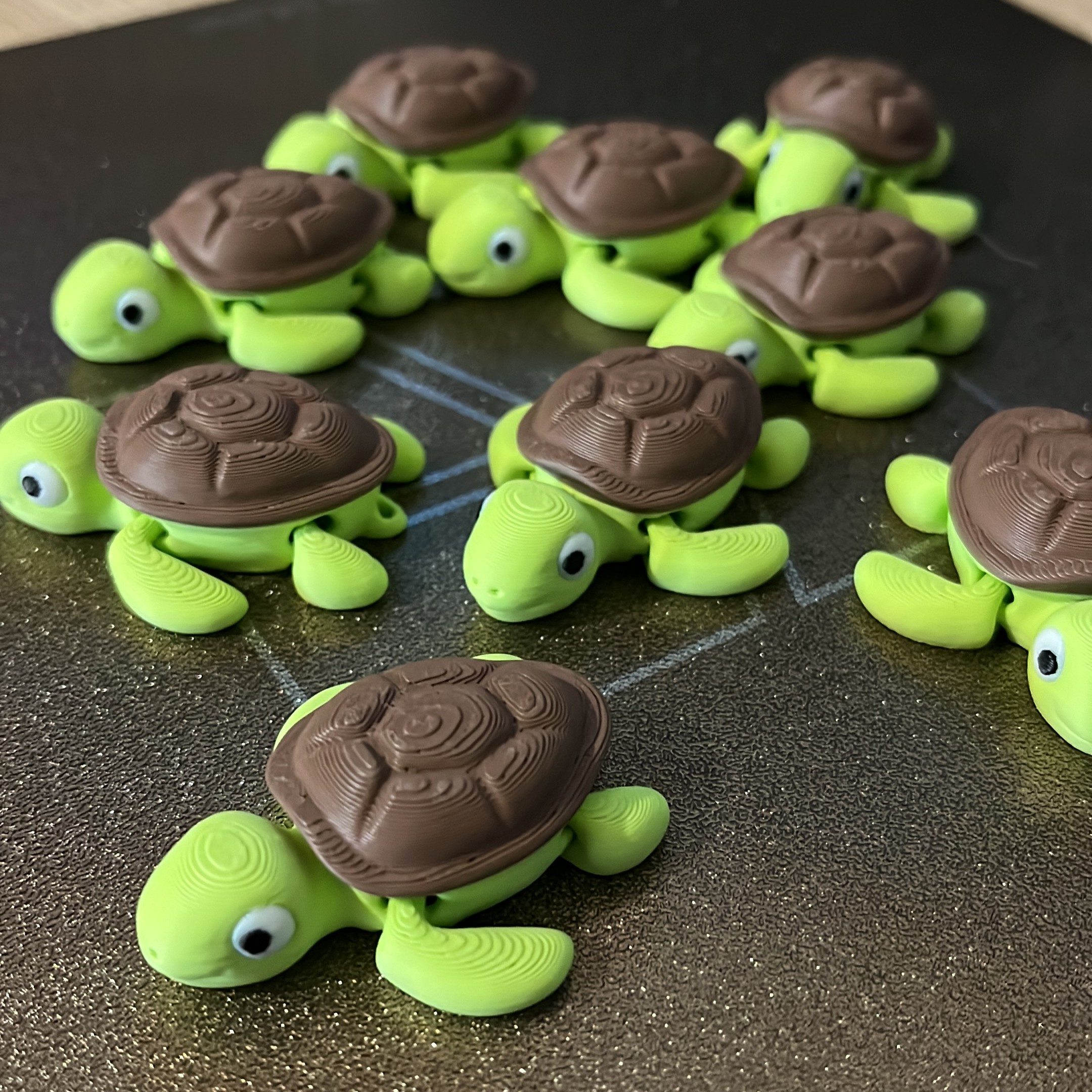 animove kornjača "kai"